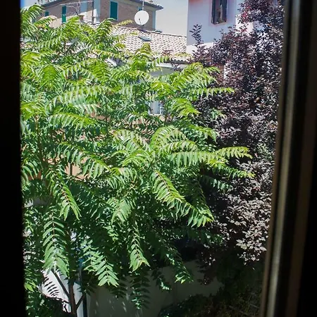 Casa Bella Sammy